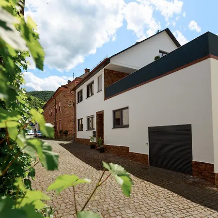 Geraeumige Mosel-fewo Fuer Ganze Familie - Grosse Dachterrasse - Netflix - Waschmaschine & Trockner Apartment