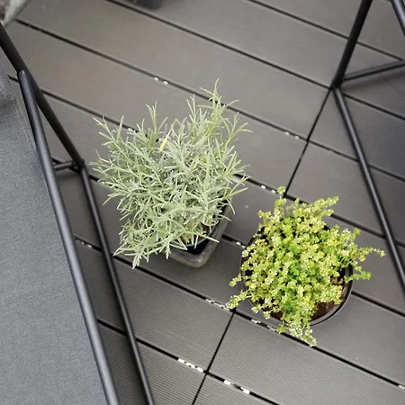 Apartment Geraeumige Mosel-fewo Fuer Ganze Familie - Grosse Dachterrasse - Netflix - Waschmaschine & Trockner Senheim