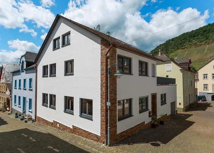 Geraeumige Mosel-fewo Fuer Ganze Familie - Grosse Dachterrasse - Netflix - Waschmaschine & Trockner