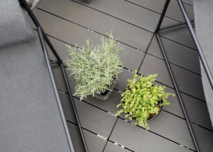 公寓 Geraeumige Mosel-fewo Fuer Ganze Familie - Grosse Dachterrasse - Netflix - Waschmaschine & Trockner 森海姆